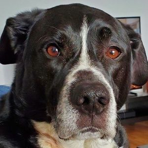 Meet your Posher, Manuela